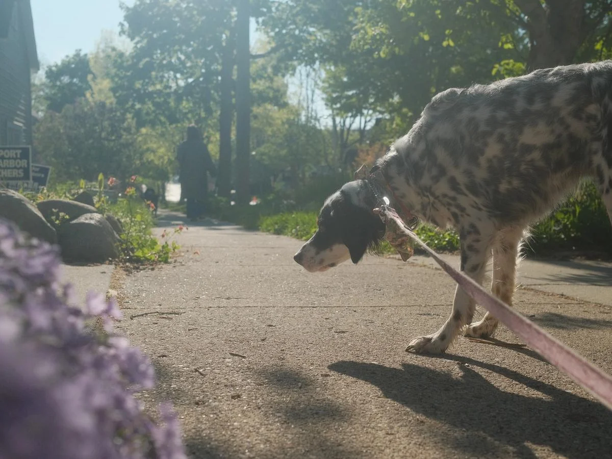 563